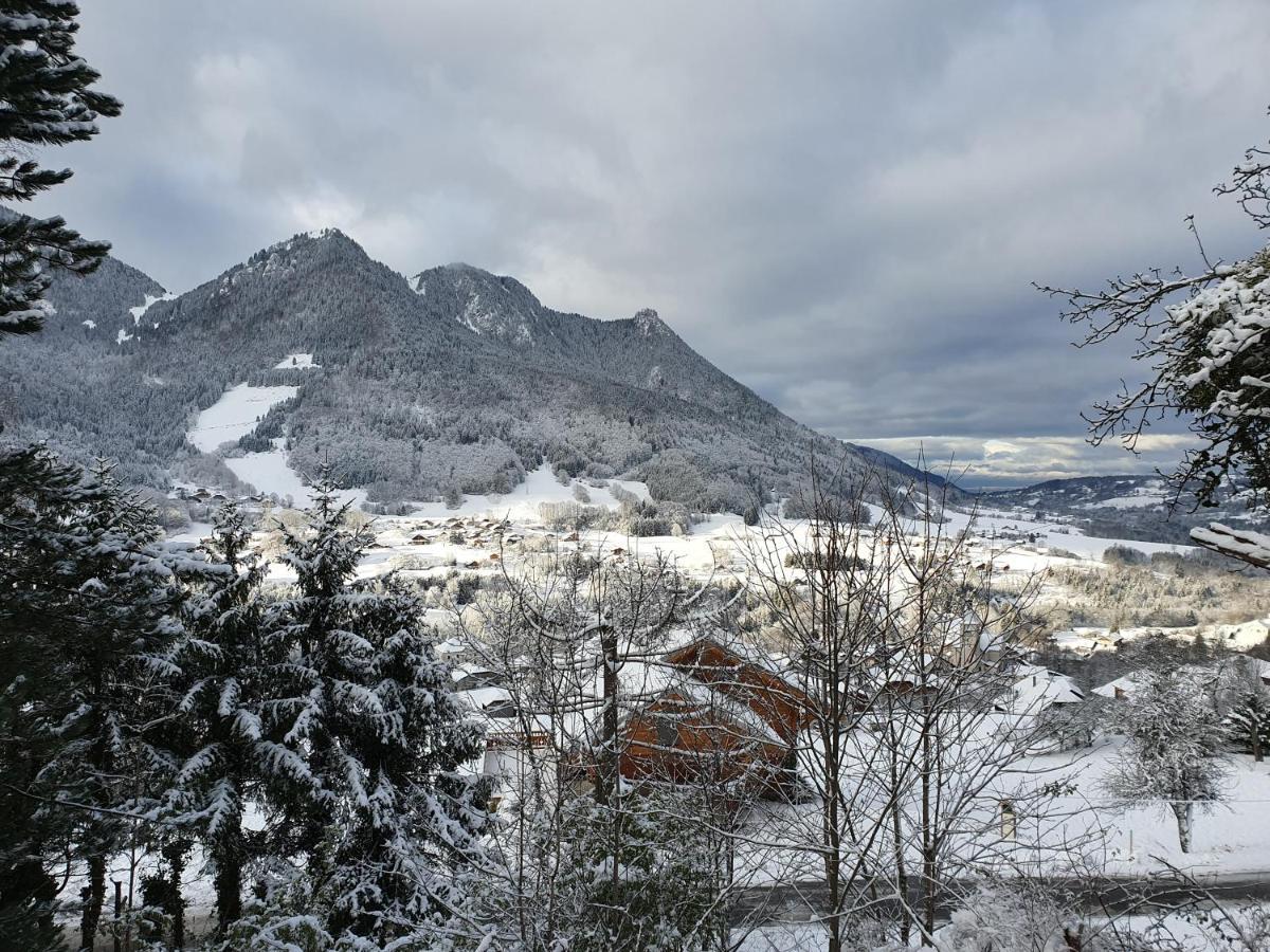 Chalet Tante Emma Vacheresse Bagian luar foto