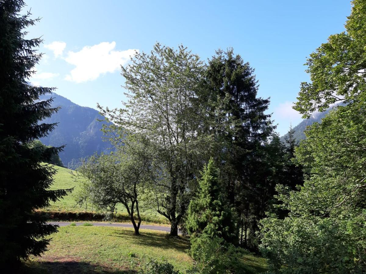Chalet Tante Emma Vacheresse Bagian luar foto