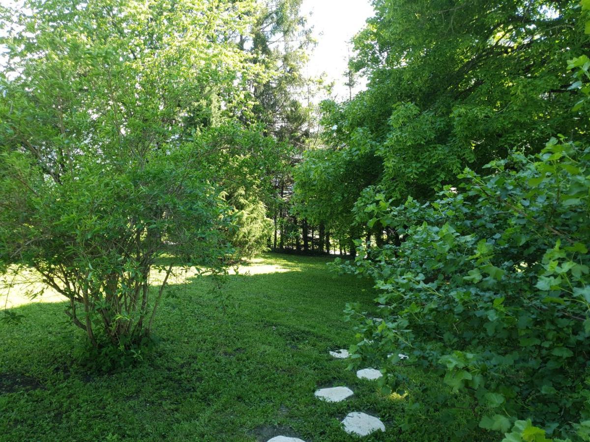 Chalet Tante Emma Vacheresse Bagian luar foto