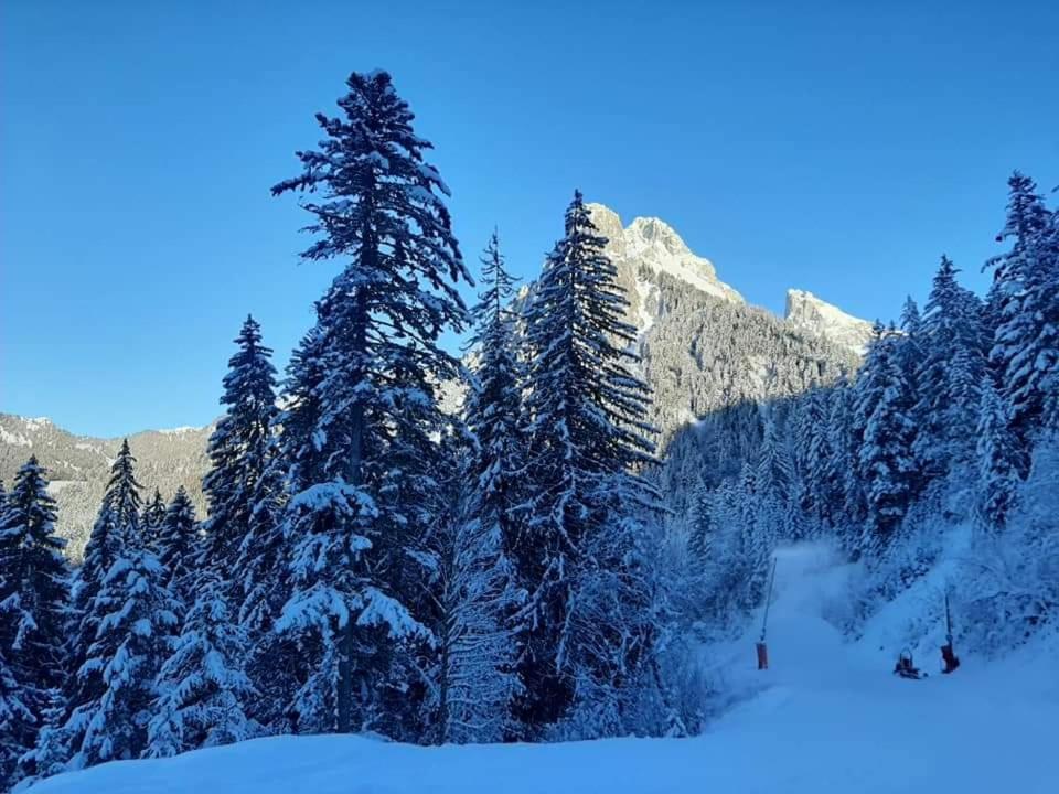 Chalet Tante Emma Vacheresse Bagian luar foto