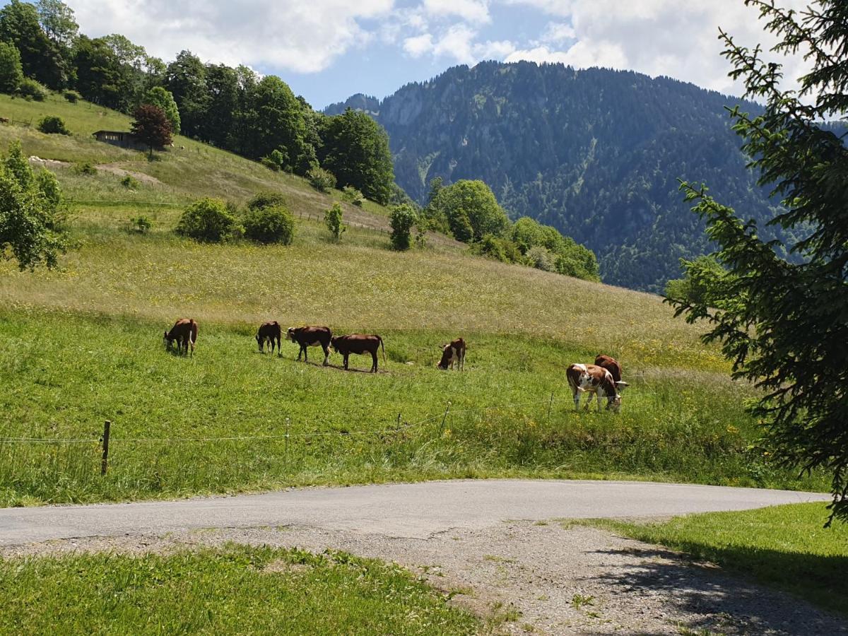 Chalet Tante Emma Vacheresse Bagian luar foto