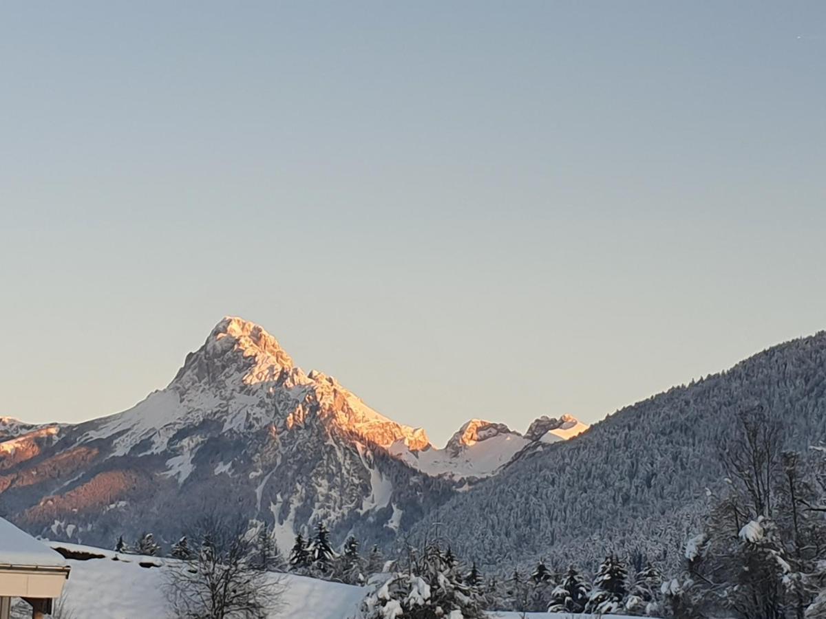 Chalet Tante Emma Vacheresse Bagian luar foto