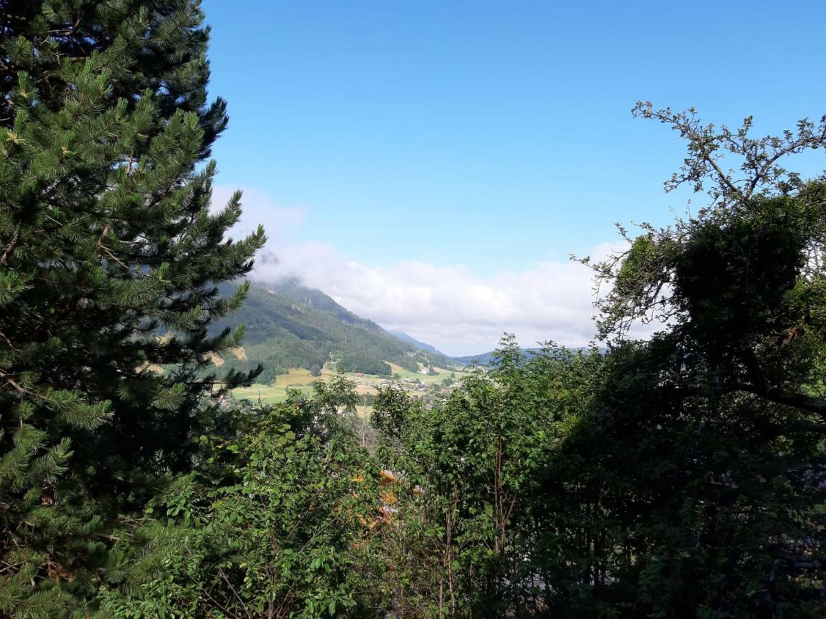 Chalet Tante Emma Vacheresse Bagian luar foto