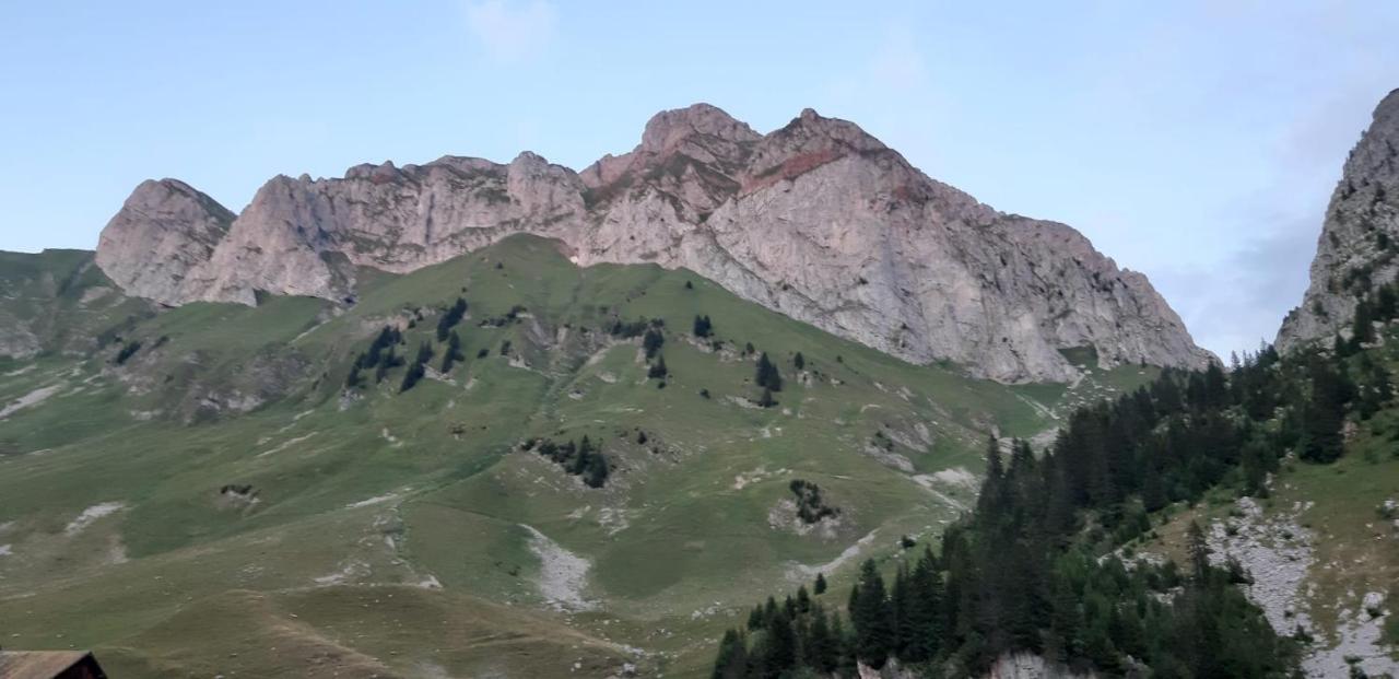 Chalet Tante Emma Vacheresse Bagian luar foto